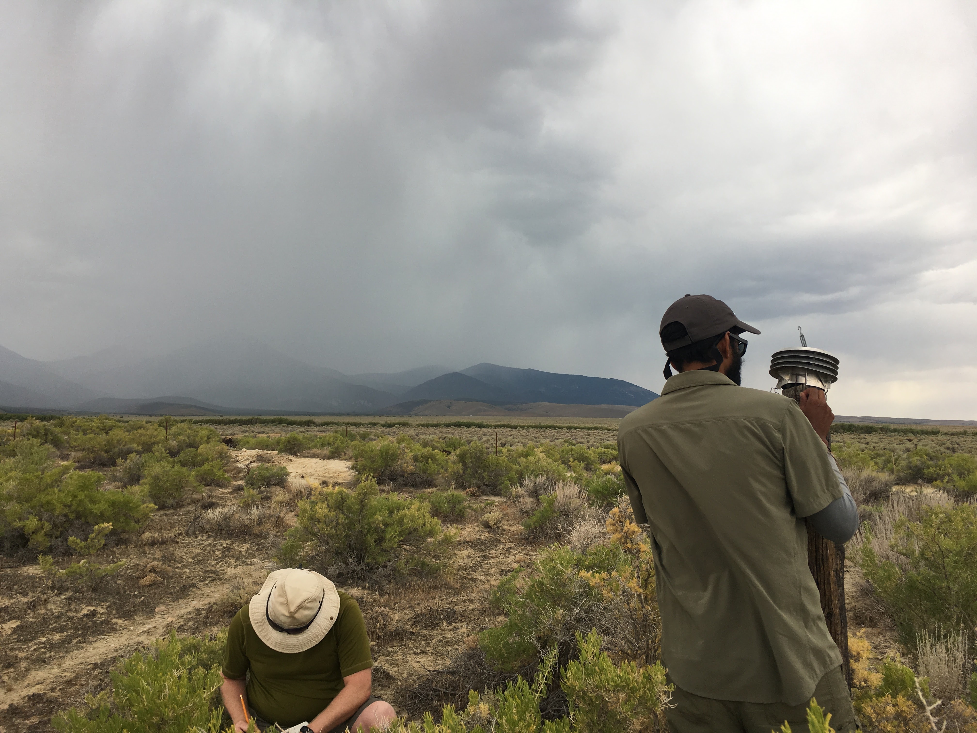 The research team races to quickly download sensor data before an impending storm