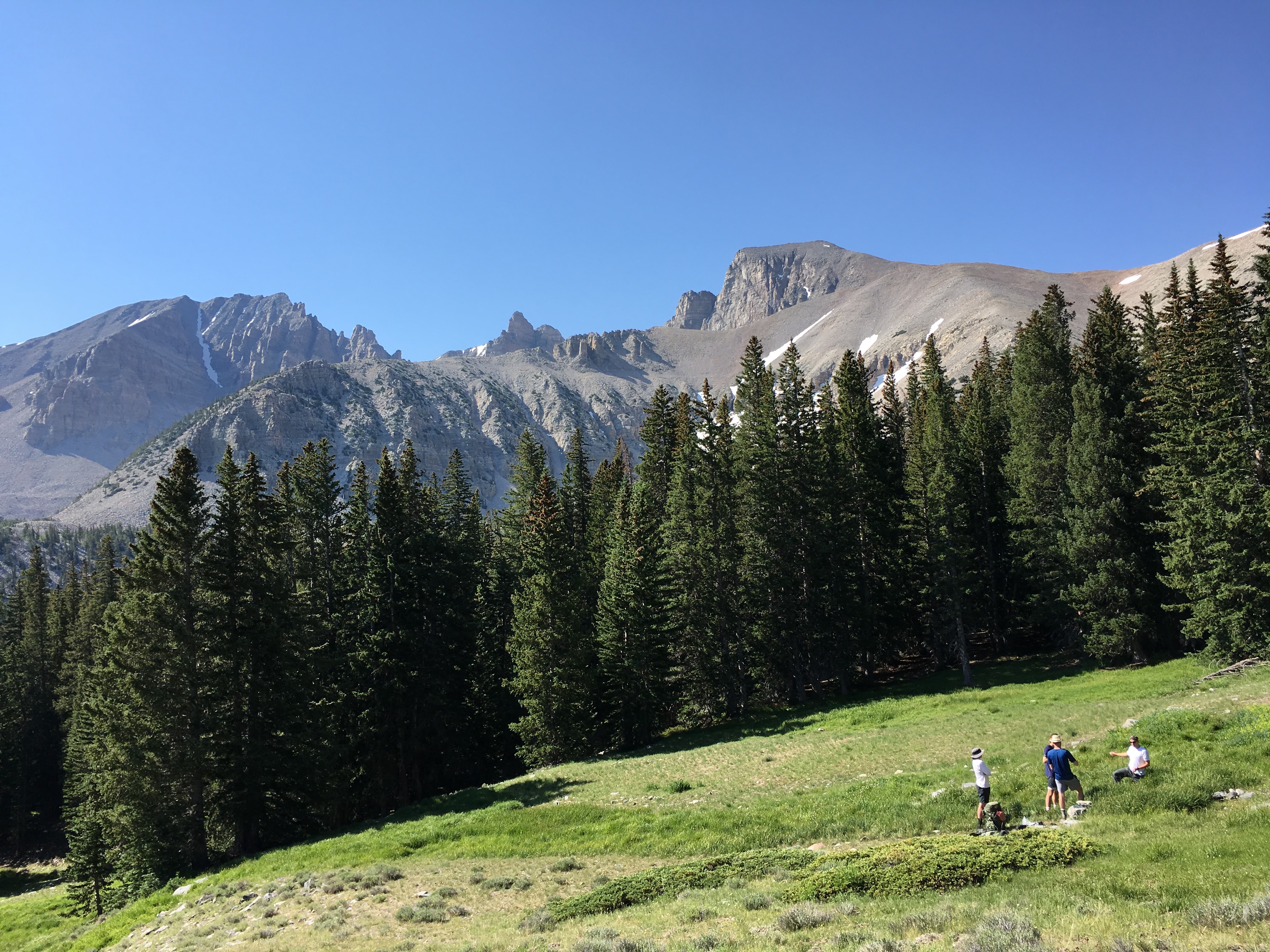 Water sampling at the upper reaches of Lehman Creek